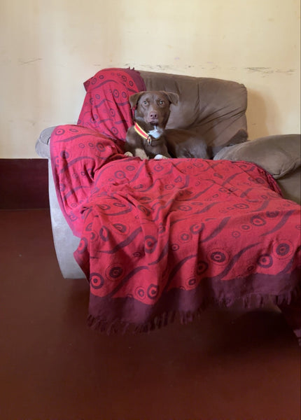 Coco Jaan's Home Boarding @ Anand Nagar, Bangalore