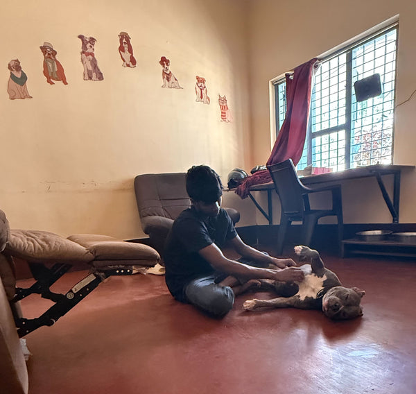 Coco Jaan's Home Boarding @ Anand Nagar, Bangalore