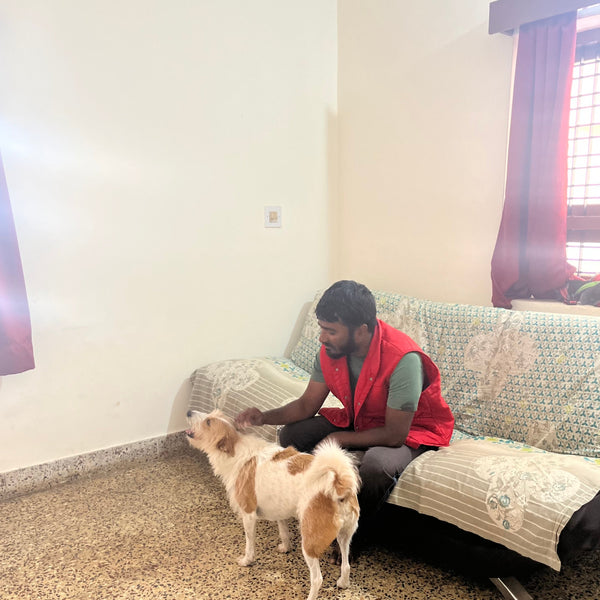 Anvis Home Boarding @ Ganganagar, Bangalore