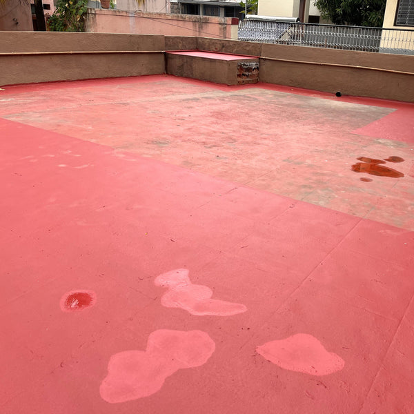 Ceaser's Home Boarding @ RMV Extension, Bangalore