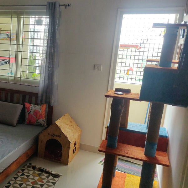 CatSpace Boarding @ Begur, Bangalore