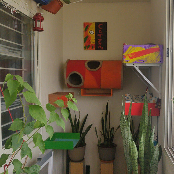 CatSpace Boarding @ Begur, Bangalore