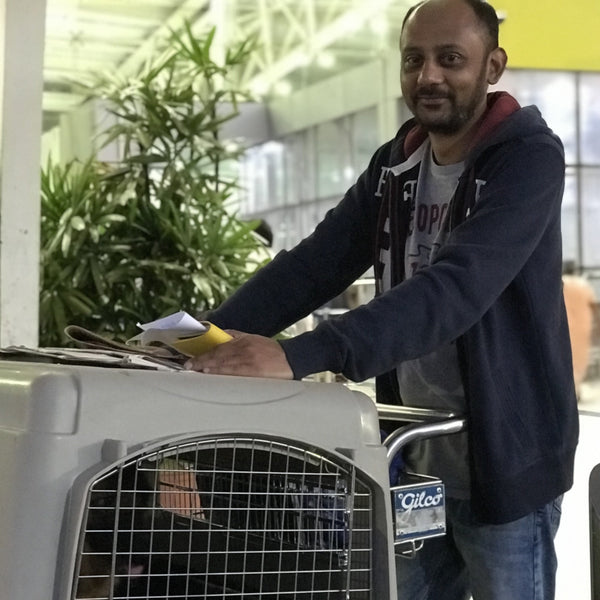 Anvis Pet Relocation