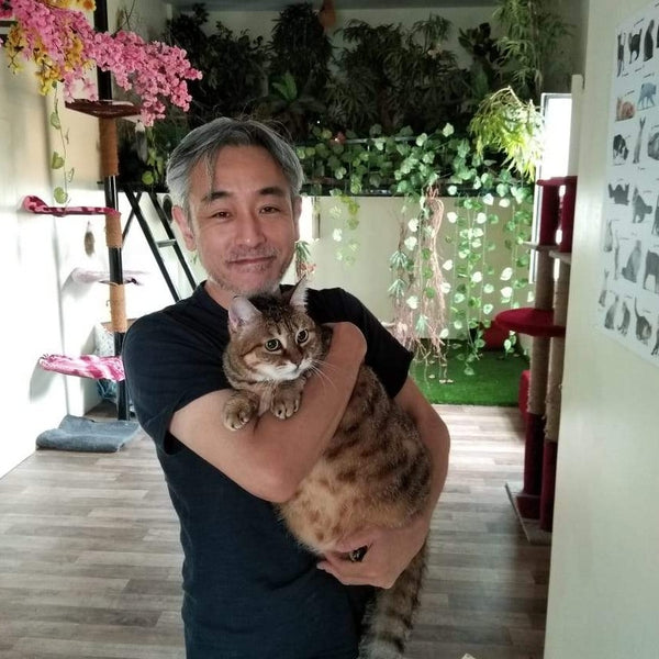 Mallikas Cattery @ SG Palya near Koramangala, Bangalore