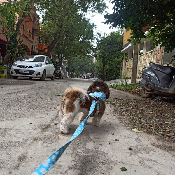 Anvis Home Boarding @ Thanisandra and around, Bangalore