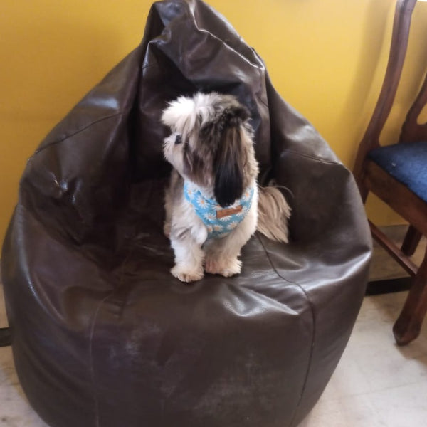 Anvis Home Boarding @ Thanisandra and around, Bangalore