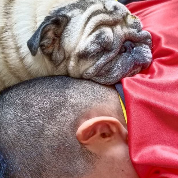 Anvis Home Boarding @ Hegde Nagar (Near Manyata Tech Park), Thanisandra and around, Bangalore