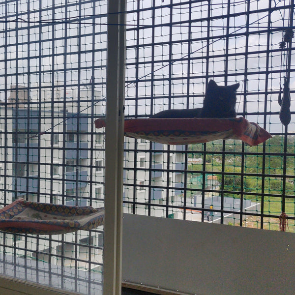 CatSpace Boarding @ Begur, Bangalore