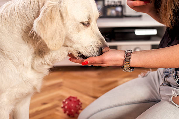 Hand feeding