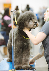 Going to the groomer