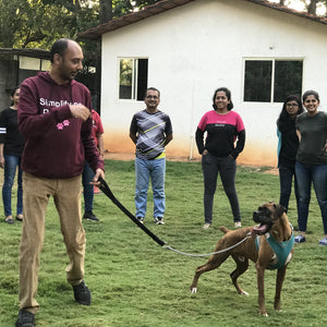 Anvis Pet Hotel @ Rajankunte, Bangalore