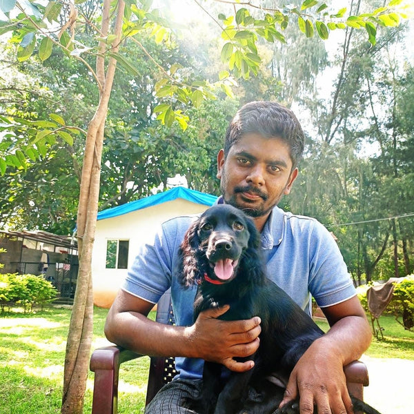 Anvis Pet Boarding/Day Care @ North Bangalore