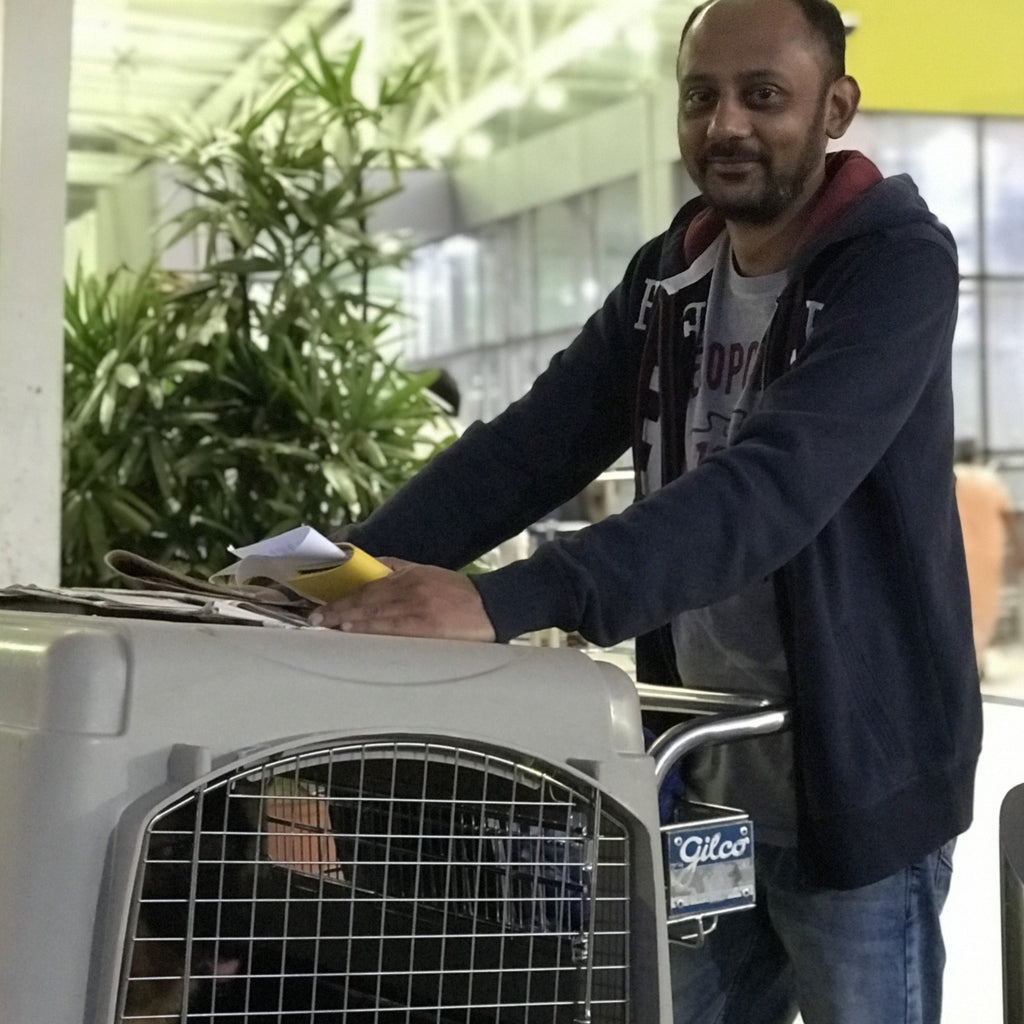 Pet relocation best sale specialist