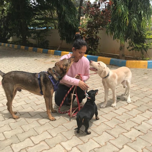 Anvis Pet Boarding/Day Care @ North Bangalore